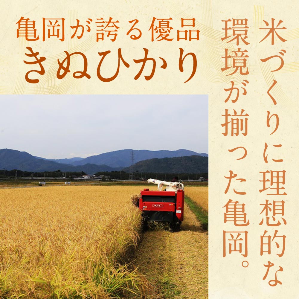 【ふるさと納税】【選べる発送時期】無洗米 真空パック 2kg・6kg (2kg×3)・10kg (2kg×5) 選べる回数 定期便 3回 令和7年産 京都丹波産 キヌヒカリ 高評価★4.77 ※受注精米 ※北海道・沖縄・離島への配送不可 米 コメ こめ 白米 2キロ 6キロ 10キロ 3ヶ月 お試し 12月発送 サムネイル2
