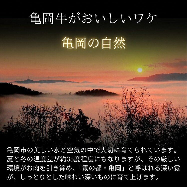 【ふるさと納税】発送時期が選べる 亀岡牛 ヒレステーキ 4枚（400g）☆祝！亀岡牛 2023年最優秀賞（農林水産大臣賞）受賞≪京都 丹波 冷蔵便 牛肉 送料無料≫ ふるさと納税牛肉 12月発送 ※北海道・沖縄・離島への配送不可 サムネイル3