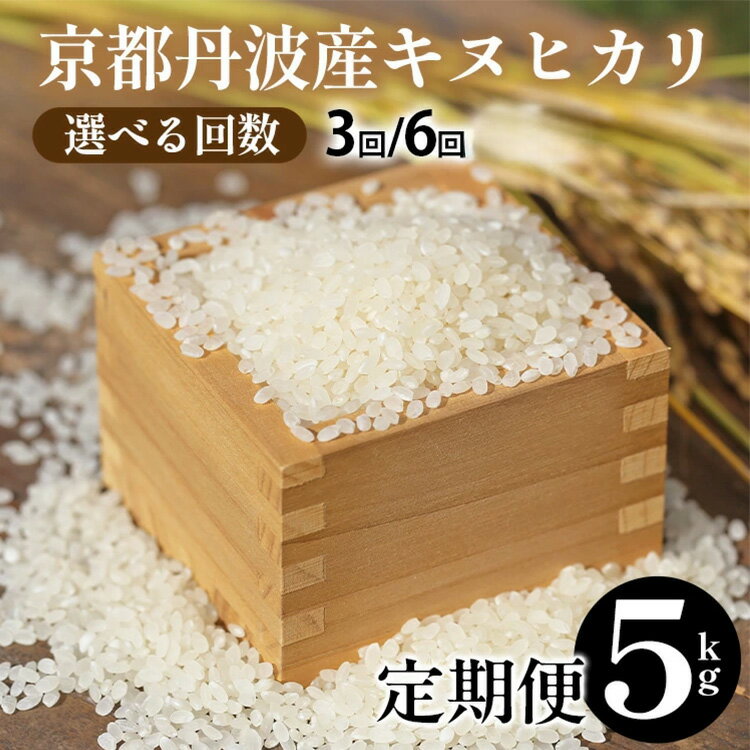 【令和7年産 新米】米 定期便 5kg 3回/6回 京都丹波産 キヌヒカリ JA京都たわわ朝霧 産地直送≪期間限定 発送時期が選べる 3ヶ月 6ヶ月 京都丹波米 白米 精米 農協 送料無料 簡易包装 人気 国産 きぬひかり ふるさと納税 米 定期便≫