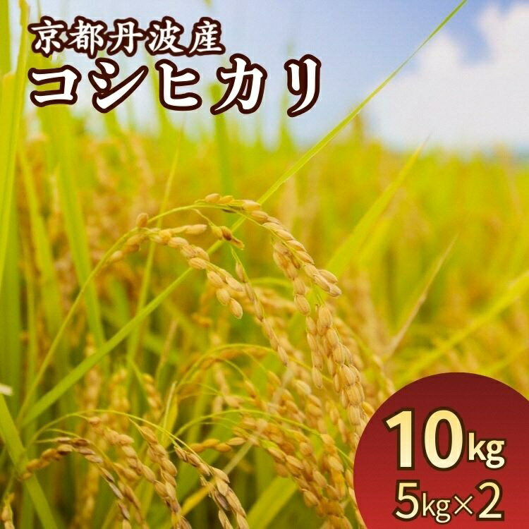 令和7年産 米 京都丹波産コシヒカリ 10kg(5kg×2袋) 発送時期が選べる＜JA京都たわわ朝霧＞≪農協 白米 精米 産地直送 送料無料 簡易包装 生活応援 人気 国産 こしひかり≫