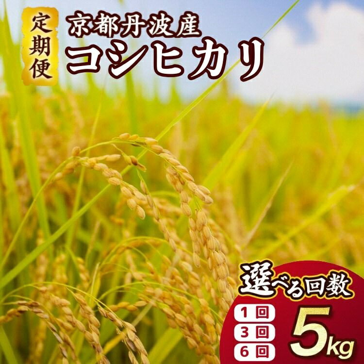 【期間限定 生活応援】米 定期便 5kg コシヒカリ 1回 3回 6回 定期便 京都丹波産 JA京都たわわ朝霧 産地直送 令和7年産 ふるさと納税 米 定期便 京都丹波米 白米 精米 農協 送料無料 簡易包装 人気 お米 こしひかり 米 5キロ 6ヵ月 【3/31迄 寄附額改定】