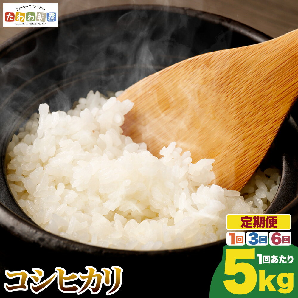 【期間限定 生活応援】米 定期便 5kg コシヒカリ 1回 3回 6回 定期便 京都丹波産 JA京都たわわ朝霧 産地直送 令和7年産 ふるさと納税 米 定期便 京都丹波米 白米 精米 農協 送料無料 簡易包装 人気 お米 こしひかり 米 5キロ 6ヵ月