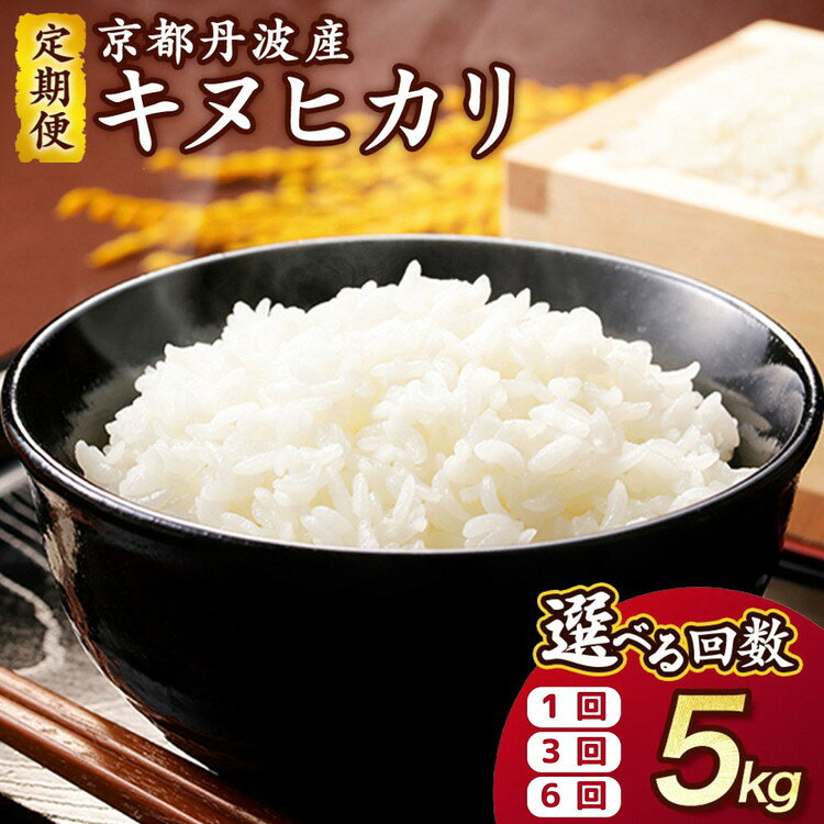 【期間限定 生活応援】米 定期便 5kg キヌヒカリ 1回 3回 6回 定期便 京都丹波産 JA京都たわわ朝霧 産地直送 令和7年産 ふるさと納税 米 京都丹波米 白米 精米 農協 送料無料 簡易包装 人気 お米 きぬひかり 5キロ 6ヵ月 5キロ 3ヵ月【3/31迄 寄附額改定】