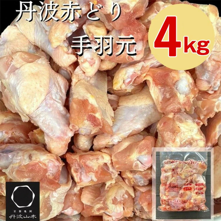 【市制70周年記念】【選べる発送時期】訳あり 丹波 赤どり 手羽元 2kg×2パック 総量約4kg＜京都亀岡丹波山本＞業務用 大容量 特別返礼品 鶏肉 小分け 不揃い 鳥 リーフレット付