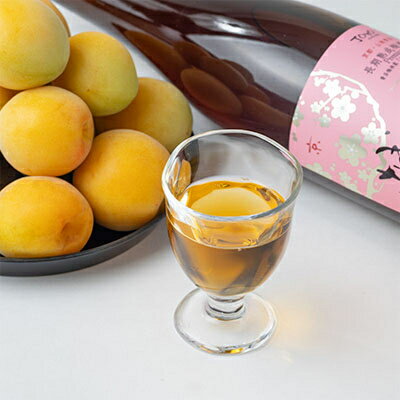 【ふるさと納税】長期熟成梅酒 城州　premium　720ml【1091704】 サムネイル2