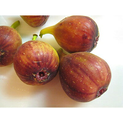 【ふるさと納税】いちじく糖菓　7個入り【1091745】 サムネイル2