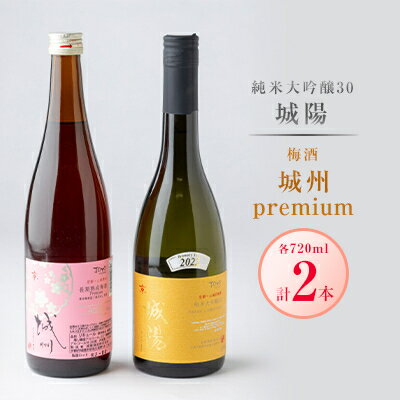 城陽酒造　【日本酒・梅酒セット】【1117656】