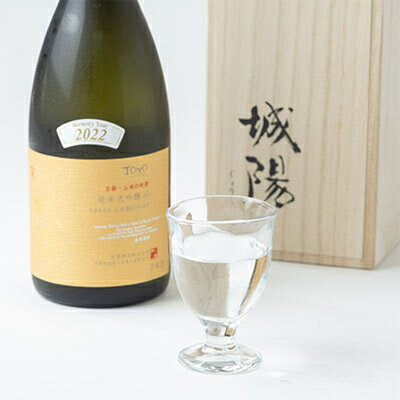 【ふるさと納税】日本酒「城陽」純米大吟醸30　720ml【1456147】 サムネイル2