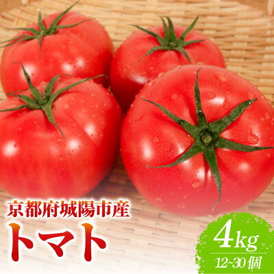 京都府産 トマト 約4kg(12～30個)産地直送【配送不可地域：離島】【1710056】