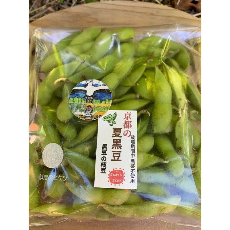 【ふるさと納税】【先行予約】京都・夏黒枝豆さや 500g（250g×2パック）1kg（250g×4パック）（2026年7月中旬～発送） 野菜 豆類 黒豆 黒枝豆 晩酌 おつまみ おかず 京都 ふるさと納税 枝豆 - 画像2