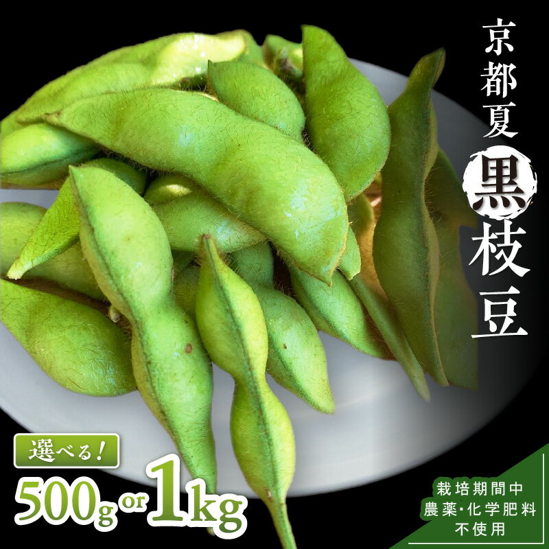【先行予約】京都・夏黒枝豆さや 500g（250g×2パック）1kg（250g×4パック）（2026年7月中旬～発送） 野菜 豆類 黒豆 黒枝豆 晩酌 おつまみ おかず 京都 ふるさと納税 枝豆