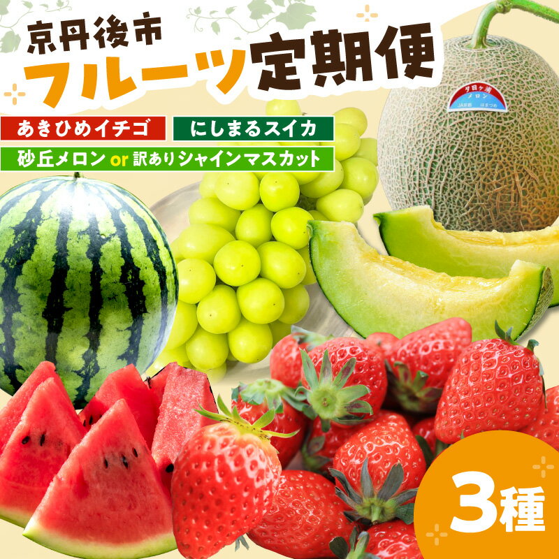 【定期便】フルーツ王国・京丹後フルーツ定期便【いちご、スイカ、メロン(シャインマスカット)】 3回定期便 選べる 種類 果物 くだもの 苺 イチゴ 西瓜 すいか めろん melon マスカット シャインマスカット 農家応援 生産者応援 送料無料