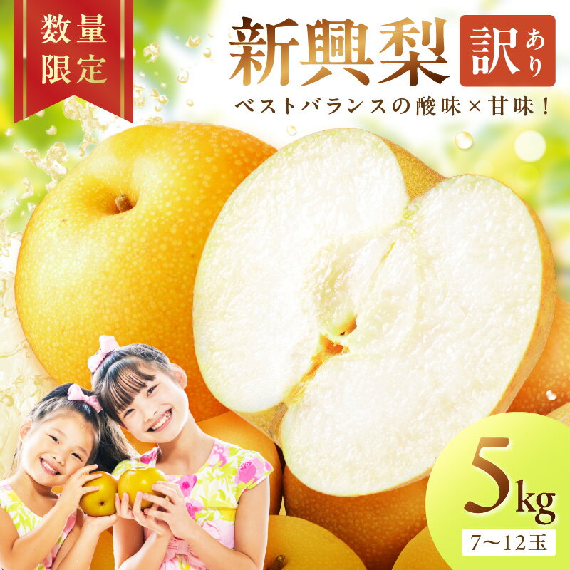 【先行予約／数量限定700】新興梨（訳あり） 5kg （7～12玉）（2026年9月下旬～発送） 国産 ふるさと 納税 梨 なし ナシ ふるさと 納税 期間限定 ふるさと 納税 訳あり 規格外 ふるさと 納税 フルーツ くだもの 果物 傷 赤梨