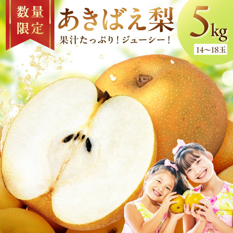 高評価★4.67 高レビュー★ 【先行予約／数量限定200】京丹後産 あきばえ梨 5kg（14～18玉）（2026年8月中旬～発送） ふるさと 納税 梨 なし ナシ ふるさと 納税 先行予約 期間限定 ふるさと 納税 フルーツ くだもの 果物 送料無料