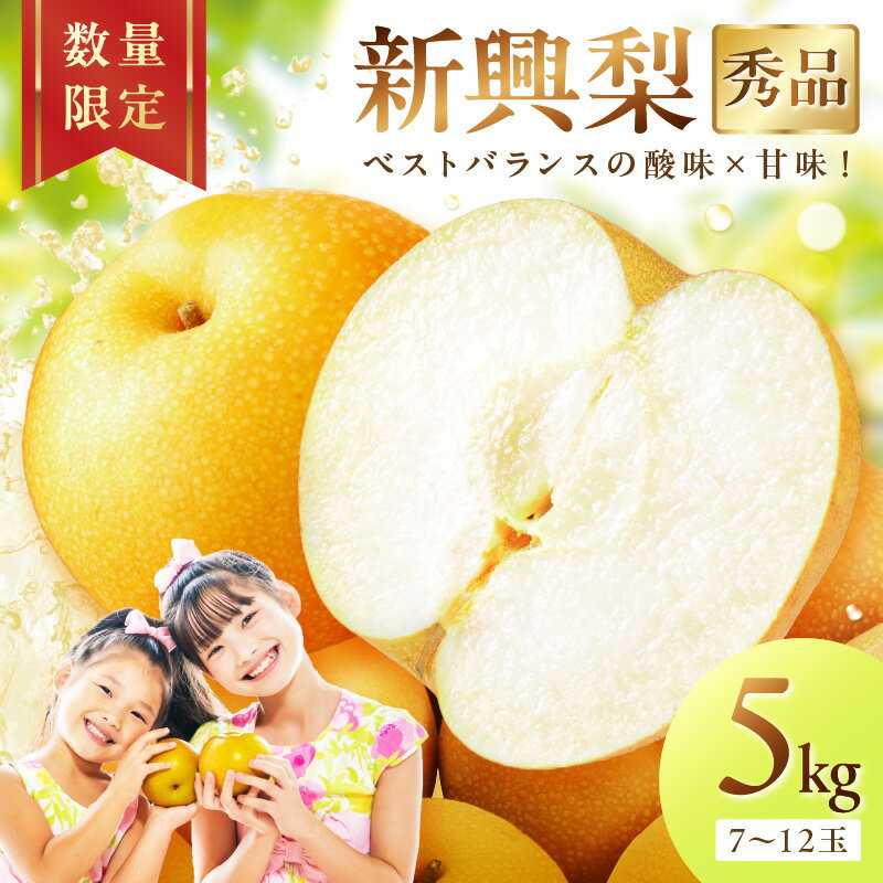 【先行予約／数量限定500】新興梨（秀品） 5kg（7～12玉）（2026年9月下旬～発送） 国産 7～12 個 玉 ふるさと 納税 梨 なし ナシ 5kg ふるさと 納税 先行予約 期間限定 ふるさと 納税 フルーツ くだもの 果物 赤梨
