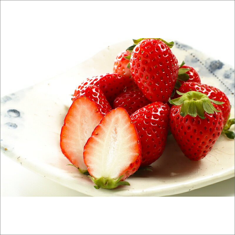 【ふるさと納税】【先行予約／数量限定】京都丹後産 完熟いちご（かおりの） 2パック 4パック（2026年3月中旬～発送） 農家直送 イチゴ 苺 ふるさと納税 先行予約 期間限定 ふるさと納税 フルーツ くだもの 果物 先行申込 ストロベリー サムネイル2