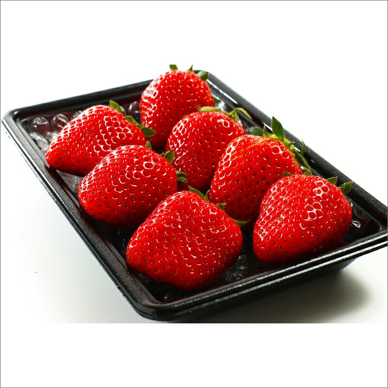 【ふるさと納税】【先行予約／数量限定】京都丹後産 完熟いちご（かおりの） 2パック 4パック（2026年3月中旬～発送） 農家直送 イチゴ 苺 ふるさと納税 先行予約 期間限定 ふるさと納税 フルーツ くだもの 果物 先行申込 ストロベリー サムネイル3