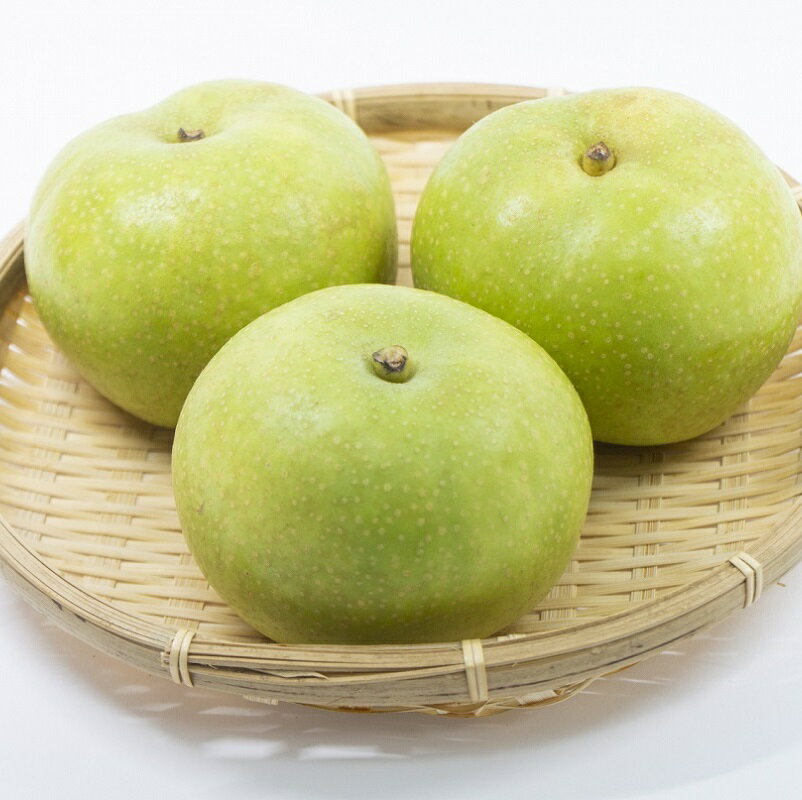 【ふるさと納税】2026秋発送【先行予約／数量限定】京都丹後産 二十世紀梨 5kg（2026年9月上旬～発送） 国産 ギフト ジューシー お取り寄せ 5キロ ふるさと 納税 梨 なし ナシ 5kg ふるさと 納税 先行予約 期間限定 ふるさと 納税 20世紀 先行申込 送料無料 サムネイル2