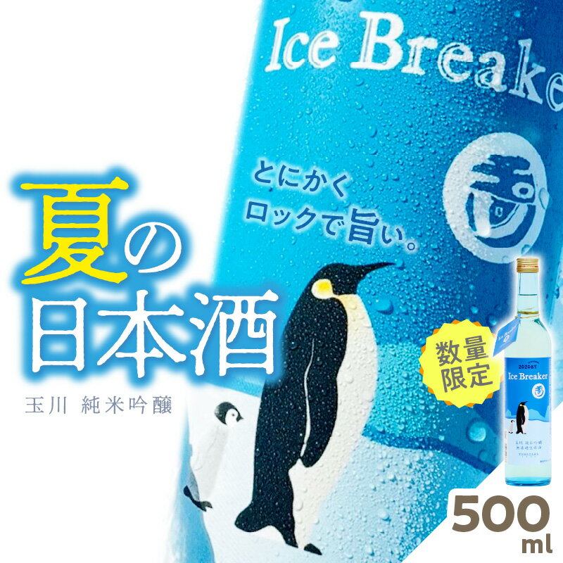 高評価★5.0 高レビュー★ なかなか手に入らない限定夏酒 【木下酒造】玉川 純米吟醸 Ice Breaker　500ml 1800ml 選べる 内容量 お酒 酒 酒好き 日本酒 ロック お祝い 誕生日 手土産 京都 地酒 数量限定 プレミアム お試し ふるさと納税 日本酒 アルコール