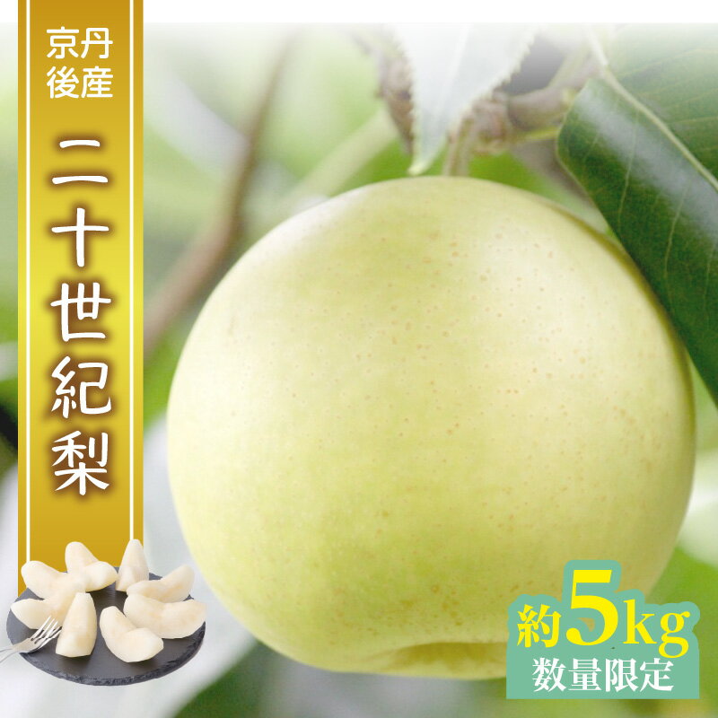 2026秋発送【先行予約／数量限定】京都丹後産 二十世紀梨 5kg（2026年9月上旬～発送） 国産 ギフト ジューシー お取り寄せ 5キロ ふるさと 納税 梨 なし ナシ 5kg ふるさと 納税 先行予約 期間限定 ふるさと 納税 20世紀 先行申込 送料無料