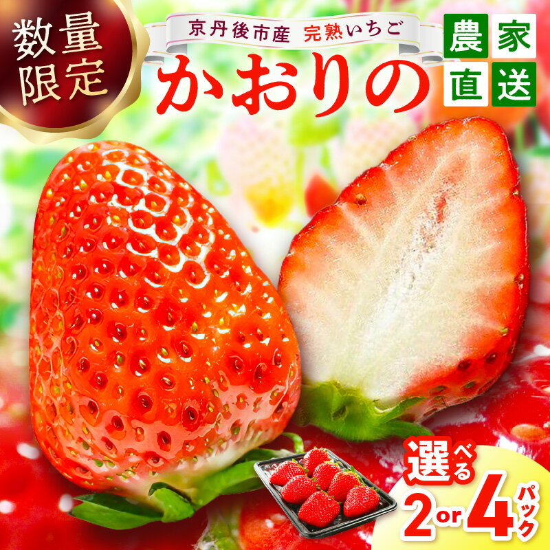 【先行予約／数量限定】京都丹後産 完熟いちご（かおりの） 2パック 4パック（2026年3月中旬～発送） 農家直送 イチゴ 苺 ふるさと納税 先行予約 期間限定 ふるさと納税 フルーツ くだもの 果物 先行申込 ストロベリー