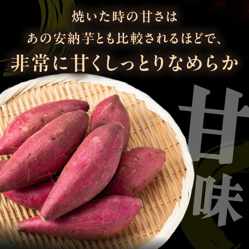 【ふるさと納税】高評価★4.69 高レビュー★【発送時期が選べる】京都・ 丹後産【熟成】さつまいも 3kg 紅はるか きみまろこ あいこまち 食べ比べ 選べる 品種 配送時期 お野菜 野菜 正規品 ふるさと納税 さつまいも ふるさと納税 紅はるか べにはるか 甘い サムネイル3