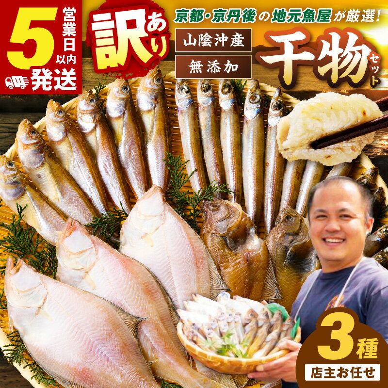 訳あり【5営業日以内発送】京丹後の地元魚屋が作ったお任せ干物セット（冷凍）選べる 配送時期 人気 3種 国産 日本海 カレイ 沖キス ハタハタ カマス ノドグロ のどぐろ ふるさと 納税 干物