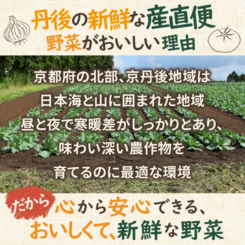 【ふるさと納税】高評価★4.5 高レビュー★ 京のお野菜詰め合わせ／京丹後産・旬の野菜 5〜8種詰め合わせ（小）　お野菜 野菜 詰め合わせ セット 季節もの 大容量 厳選 新鮮 お試し 献立 とれたて 旬 春 夏 秋 冬 ふるさと納税 野菜 京野菜 農家応援 生産者応援 送料無料 サムネイル2