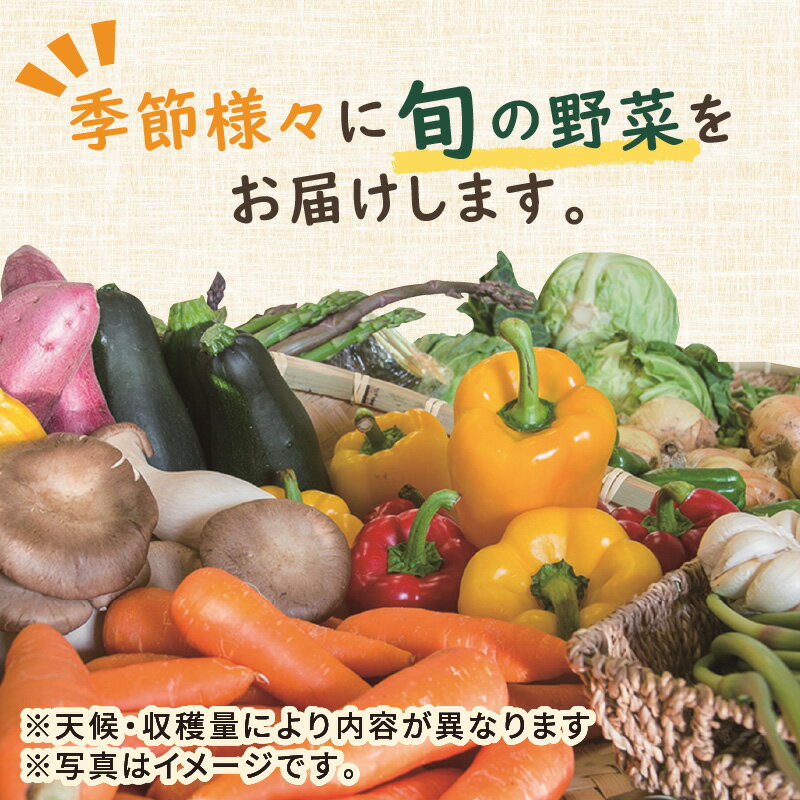 【ふるさと納税】高評価★4.5 高レビュー★ 京のお野菜詰め合わせ／京丹後産・旬の野菜 5〜8種詰め合わせ（小）　お野菜 野菜 詰め合わせ セット 季節もの 大容量 厳選 新鮮 お試し 献立 とれたて 旬 春 夏 秋 冬 ふるさと納税 野菜 京野菜 農家応援 生産者応援 送料無料 サムネイル3