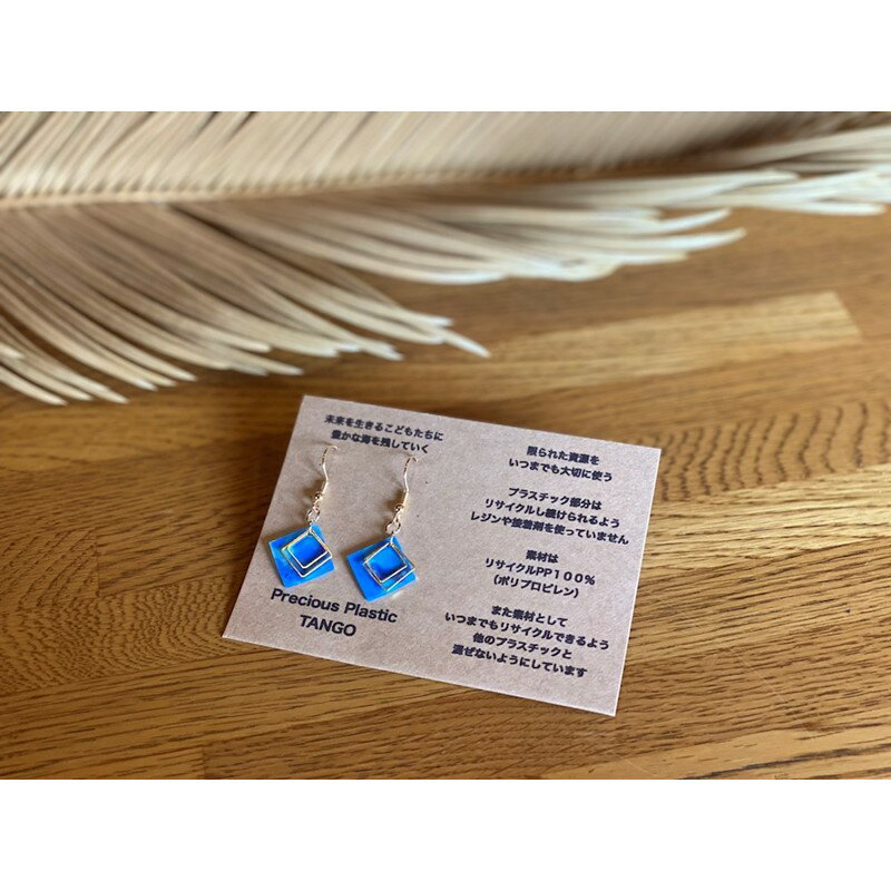 Precious Plastic ピアス 雑貨 手作り ハンドメイド ファッション SDGs ビーチクリーン おしゃれ ふるさと納税 アクセサリー
