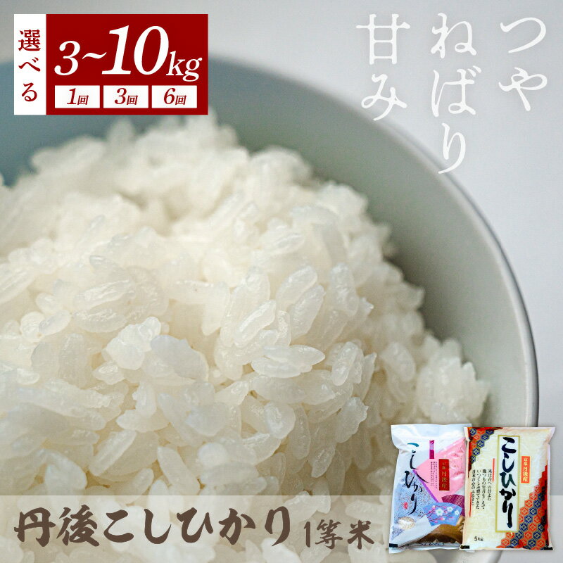 令和7年産 1等米 丹後こしひかり 選べる 回数 内容量 3kg 5kg 10kg 1回 3回 6回 定期便 久美浜 国産 産地直送 お米 白米 丹後コシヒカリ おにぎり お弁当 京都産 京丹後 こしひかり 精米 ふるさと納税 コシヒカリ 米