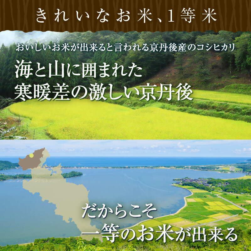 【ふるさと納税】令和7年産 1等米 丹後こしひかり 選べる 回数 内容量 3kg 5kg 10kg 1回 3回 6回 定期便 久美浜 国産 産地直送 お米 白米 丹後コシヒカリ おにぎり お弁当 京都産 京丹後 こしひかり 精米 ふるさと納税 コシヒカリ 米 - 画像3
