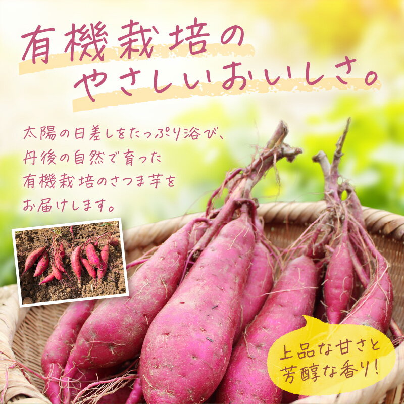 【ふるさと納税】＜ てんとうむしばたけ ＞ 有機 さつまいも( 紅はるか )5kg 先行予約 有機野菜 さつま芋 サツマイモ 薩摩芋 ふるさと納税 野菜 イモ 期間限定 紅はるか 甘い 貯蔵 熟成 オーガニック ねっとり あまい焼き芋 国産 ほくほく 土付き 旬 秋 京都産 - 画像2