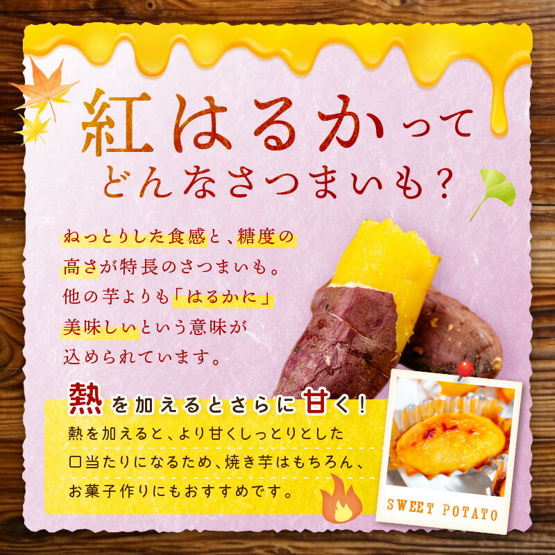 【ふるさと納税】＜ てんとうむしばたけ ＞ 有機 さつまいも( 紅はるか )5kg 先行予約 有機野菜 さつま芋 サツマイモ 薩摩芋 ふるさと納税 野菜 イモ 期間限定 紅はるか 甘い 貯蔵 熟成 オーガニック ねっとり あまい焼き芋 国産 ほくほく 土付き 旬 秋 京都産 - 画像3