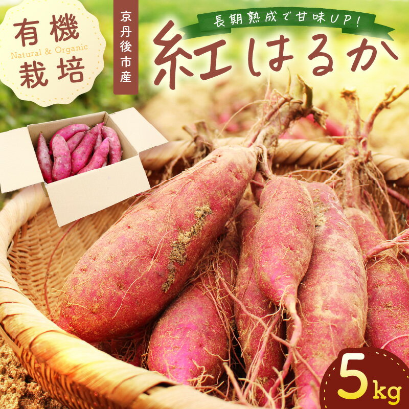 ＜ てんとうむしばたけ ＞ 有機 さつまいも( 紅はるか )5kg 先行予約 有機野菜 さつま芋 サツマイモ 薩摩芋 ふるさと納税 野菜 イモ 期間限定 紅はるか 甘い 貯蔵 熟成 オーガニック ねっとり あまい焼き芋 国産 ほくほく 土付き 旬 秋 京都産