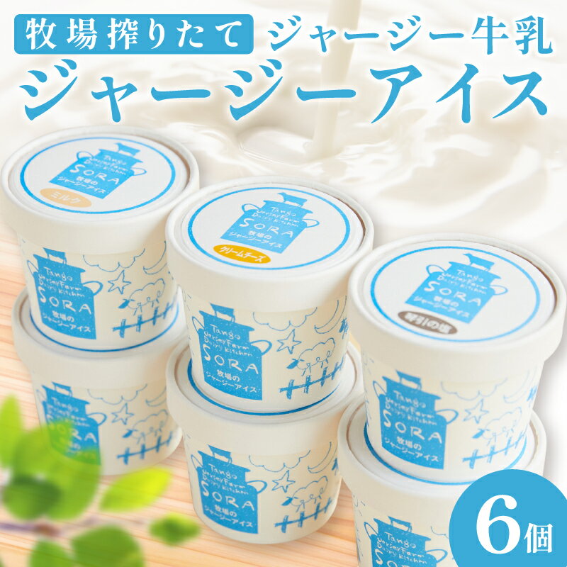 高評価★4.83 高レビュー★ 京都 丹後 ジャージー 牧場直送！ 搾りたて ジャージー牛乳 で作る 濃厚 ミルク の ジャージーアイス 6個セット 選べる 配送時期 スイーツ アイス 6種 濃厚アイス 濃厚ミルク 抹茶 クリームチーズ 黒糖 きなこ チョコ 琴引の塩