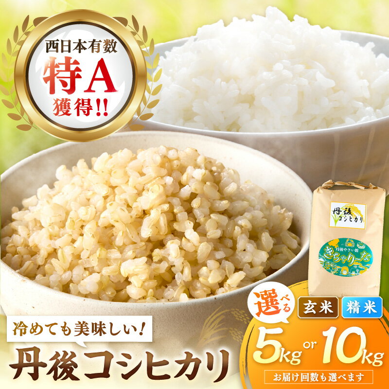 発送月が選べる・R7年度米・西日本で有数の特A獲得地域／高評価★4.78 直売所直送「令和7年産　京丹後市産　コシヒカリ」 玄米 精米 5kg 10kg 1回 3回 6回 選べる 配送月 回数 定期便 こめ ふるさと納税 コシヒカリ 玄米 米 精米 白米 2025 年 京都産