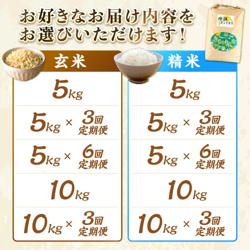 【ふるさと納税】発送月が選べる・R7年度米・西日本で有数の特A獲得地域／高評価★4.78 直売所直送「令和7年産　京丹後市産　コシヒカリ」 玄米 精米 5kg 10kg 1回 3回 6回 選べる 配送月 回数 定期便 こめ ふるさと納税 コシヒカリ 玄米 米 精米 白米 2025 年 京都産 - 画像3