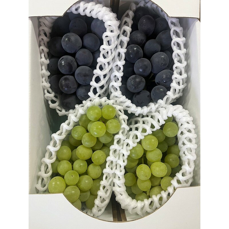 2026夏発送【先行予約】ぶどう白・黒詰め合わせ2〜3種（1.4kg以上）（2026年8月上旬～発送）くだもの 果物 フルーツ 詰め合わせ 先行予約 ふるさと納税 ぶどう ブドウ 葡萄 セット 詰め合わせ 期間限定 くだもの 果物 先行申込 農家応援 生産者応援 送料無料