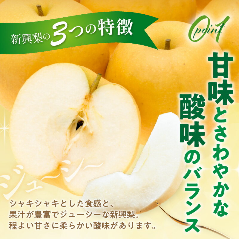 【ふるさと納税】残りわずか【数量限定50】大きい梨・新興梨 秀品 5kg（8～16玉入り）（2025年10月上旬～発送） 国産 8〜16 個 玉 ふるさと 納税 梨 なし ナシ 5kg ふるさと 納税 先行予約 期間限定 ふるさと 納税 フルーツ くだもの 果物 赤梨 農家直送 ふるさと納税 梨 サムネイル2