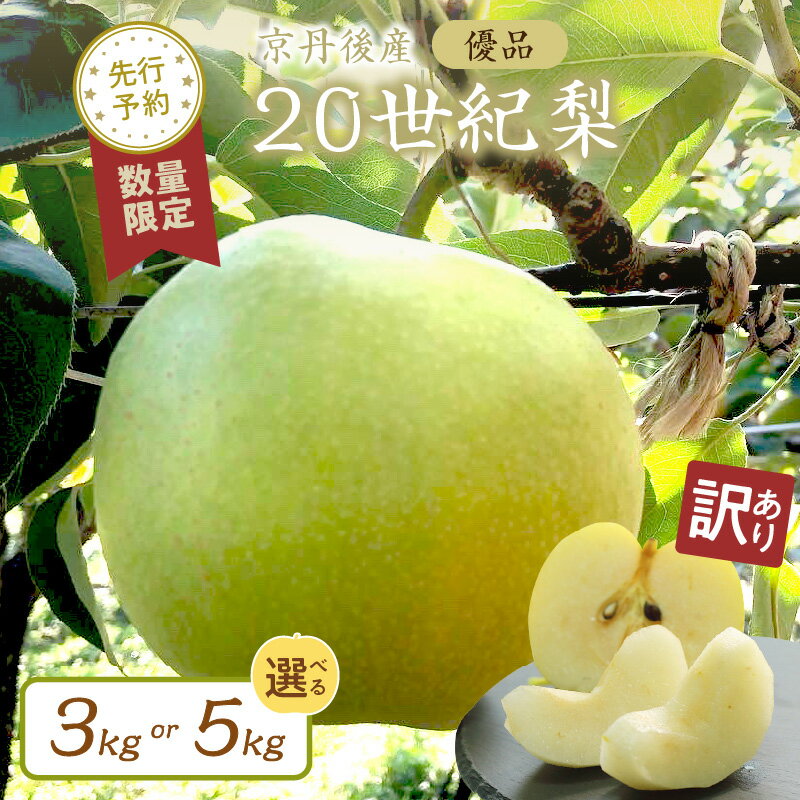 在庫残りわずか／2026年初秋発送【先行予約／数量限定】【訳あり】20世紀梨 優品 （2026年9月上旬～発送） 3kg（7～12玉入り） 5kg（13～20玉入り） 選べる 内容量 国産 7～12 個 13～20 個 玉 なし 二十世紀梨 ふるさと 納税 梨 ふるさと 納税 20世紀梨