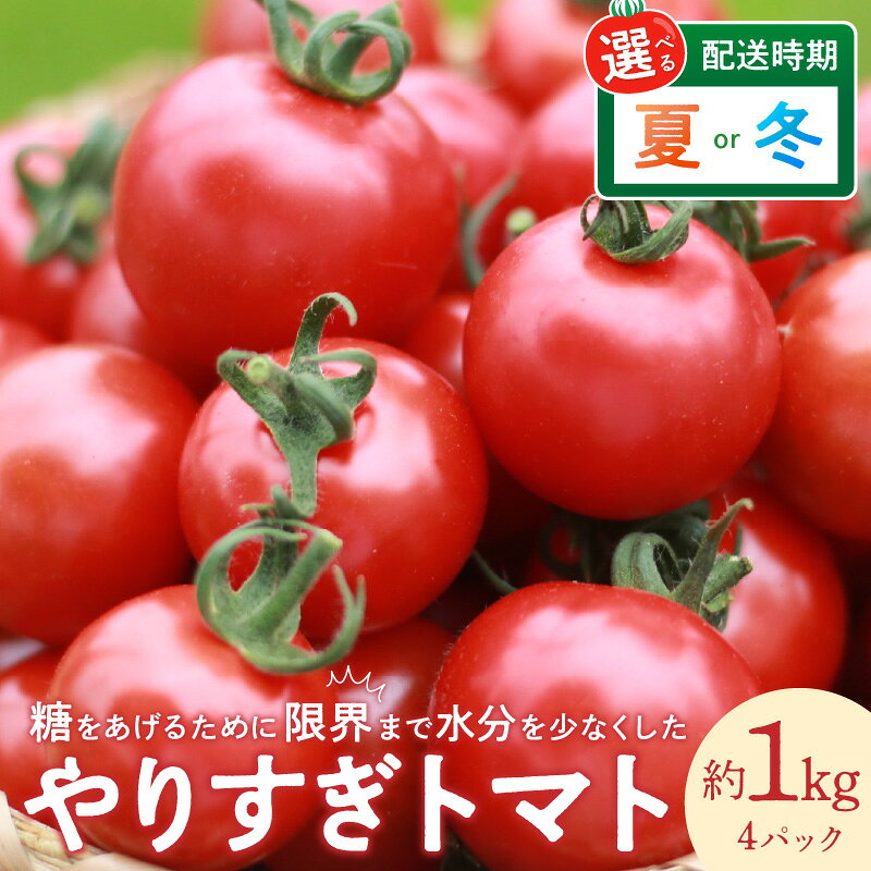 選べる夏・冬／高評価★5.0 レビュー【先行予約】やりすぎトマト（4パック計約1kg）夏季 2026年6月上旬以降発送／冬季 2026年12月上旬以降発送 国産 ミニトマト ミディトマト プチトマト フルーツトマト 野菜 とまと 高糖度 甘い 夏野菜 ふるさと納税 トマト