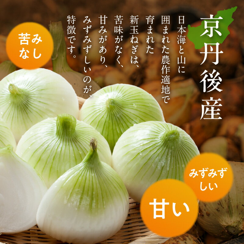 【ふるさと納税】＼2026年予約 新玉ねぎ／【訳あり】高評価★4.79 新たまねぎ 7kg 甘い 新鮮 国産 玉ねぎ 7キロ 30～40玉 ふるさと納税 たまねぎ 訳あり 訳有り わけあり 不揃い ふぞろい やさい 京野菜 新たま サムネイル2