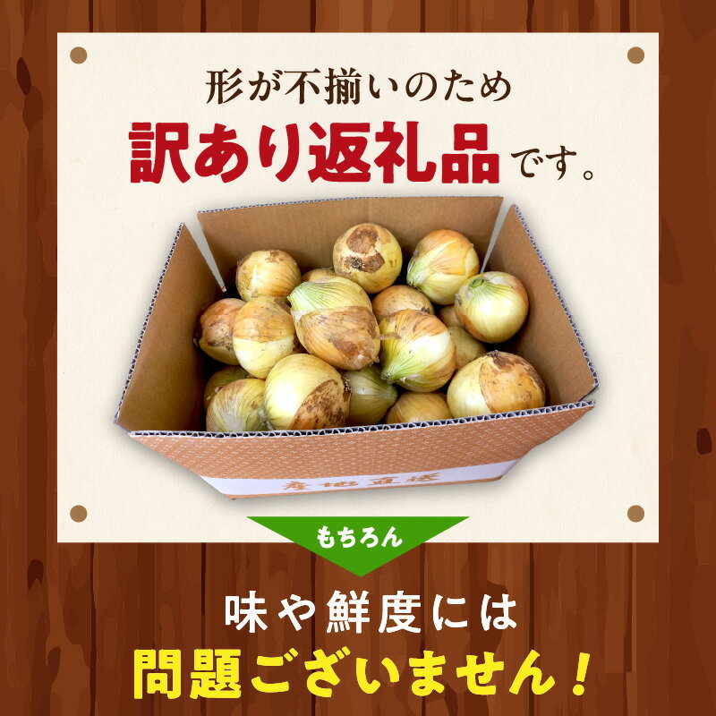 【ふるさと納税】＼2026年予約 新玉ねぎ／【訳あり】高評価★4.79 新たまねぎ 7kg 甘い 新鮮 国産 玉ねぎ 7キロ 30～40玉 ふるさと納税 たまねぎ 訳あり 訳有り わけあり 不揃い ふぞろい やさい 京野菜 新たま サムネイル3