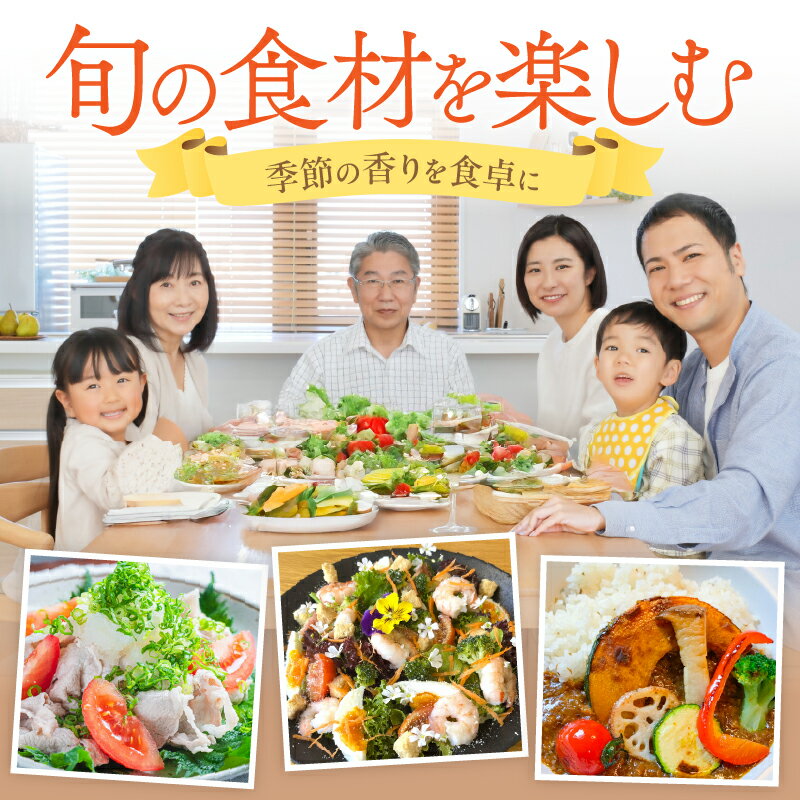 【ふるさと納税】生活応援【訳あり／定期便 】高評価 高レビュー★ 直売所直送 「京都・京丹後産 季節の野菜」お任せ詰め合わせBOX (5品) 春夏秋冬定期便4回 (3品) 定期便3回 コシヒカリ精米 1kg 2kg 京野菜 季節 新鮮 ふるさと納税 野菜・きのこランキング入り 直売所直送 - 画像3