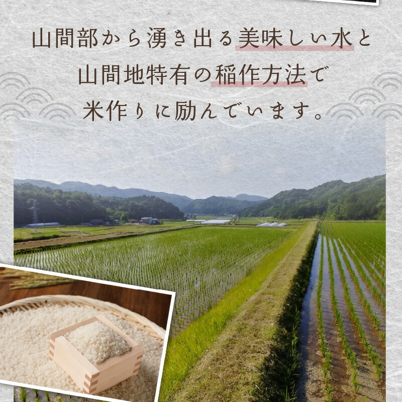 【ふるさと納税】玄米 5kg～／高評価★5.0 小さな集落から絶品のお米をお届け！ 西日本で有数の特A獲得地域 農家直送 2025年産 京都・久美浜三谷産 丹後コシヒカリ「三谷幸米」 玄米 5kg 10kg 20kg 30kg ふるさと納税 コシヒカリ 新米 令和7年産 ふるさと納税 玄米 - 画像3