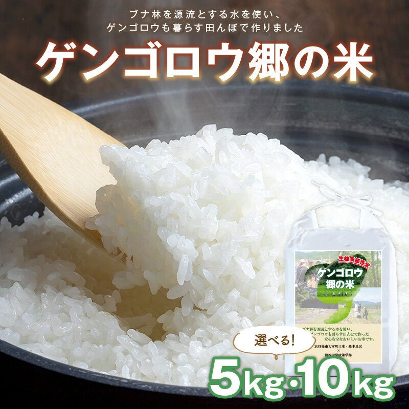 龍谷大学と共同開発／2025年産　京丹後産生物多様性米コシヒカリ「ゲンゴロウ郷の米」 箱入 5kg 10kg 選べる 内容量 お米 ご飯 ごはん 令和7年 京都 京丹後 丹後 ふるさと納税 米 こしひかり 生産者応援 農家応援 送料無料
