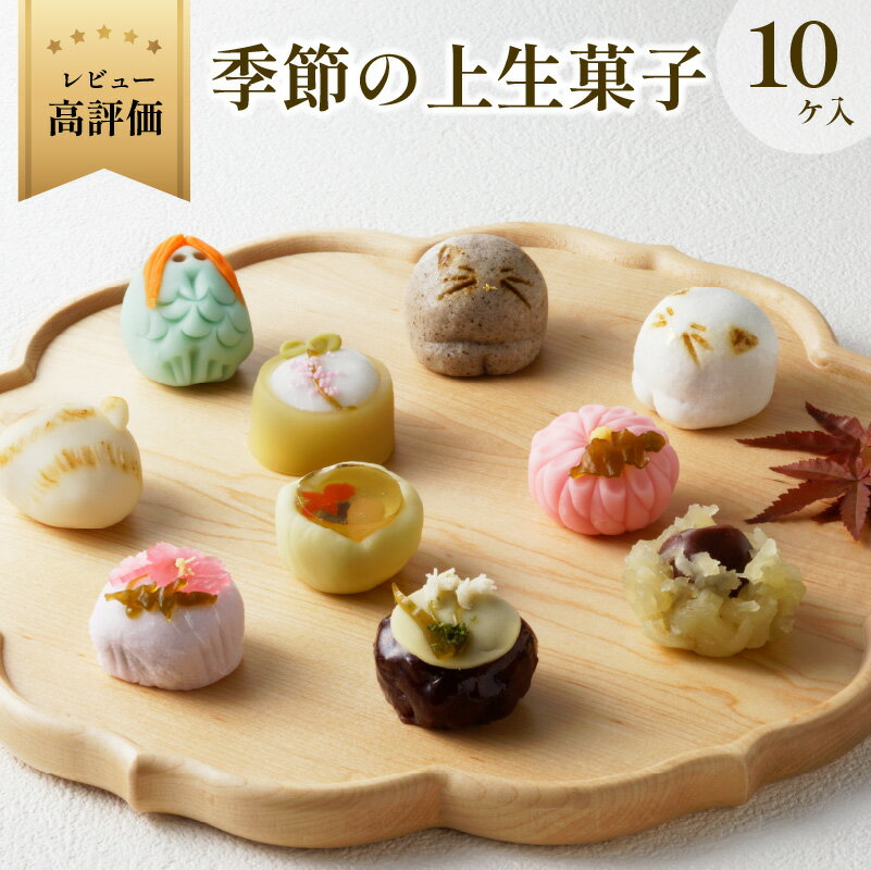 選べる発送月・年末配送／ 猫 NEKO-NO-EN ねこのえん 季節の上生菓子 10ヶ入 お菓子 おかし 猫好き ねこ プレゼント お返し ギフト 贈り物 友人 誕生日 手土産 スイーツ ふるさと 納税 猫 ふるさと 納税 生菓子 和菓子 京菓子 猫の日 送料無料