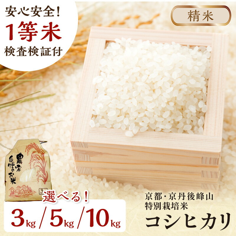 残りわずか【白米】／高レビュー★ 2025年産 京都・京丹後峰山 特別栽培米コシヒカリ 3kg 5kg 10kg 【白米】 1等米 検査済証付 選べる 内容量 産地直送 お米 白米 丹後コシヒカリ 京都産 精米 こしひかり 米 3キロ 5キロ 10キロ 生産者応援 農家応援