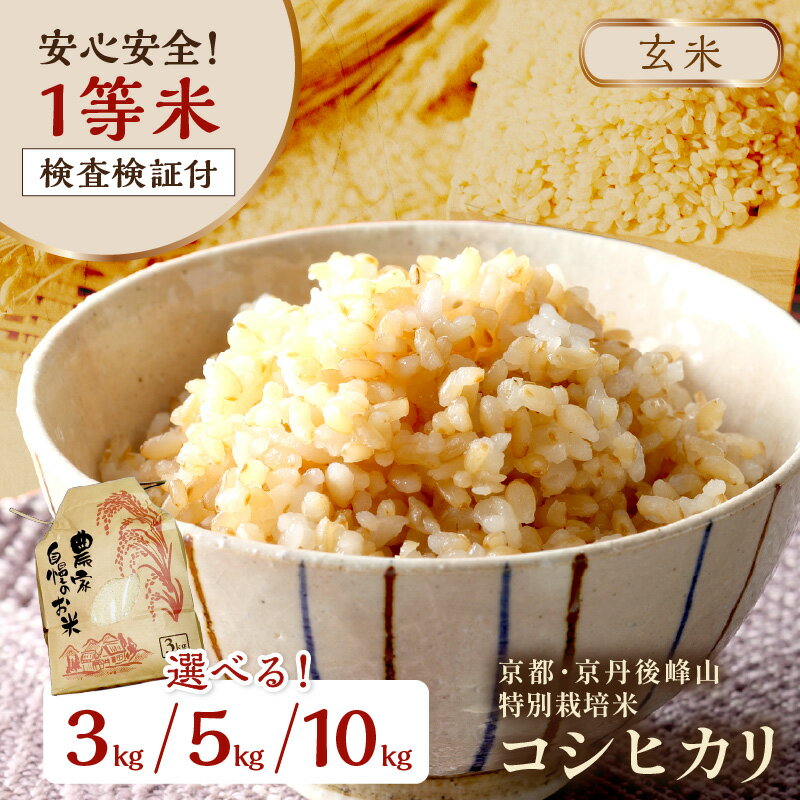 残りわずか／高評価・こだわり米農家直送／玄米　3kg～高評価★5.0 高レビュー★ ／2025年産 京都・京丹後 峰山 特別栽培米コシヒカリ 3kg 5kg 10kg【玄米】 1等米 検査済証付 選べる お米 玄米 お弁当 特別栽培 一等米 ふるさと納税 玄米 10kg